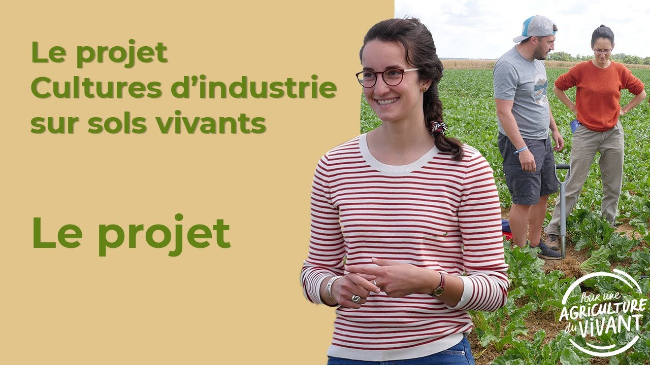 CISV #1 : Le projet