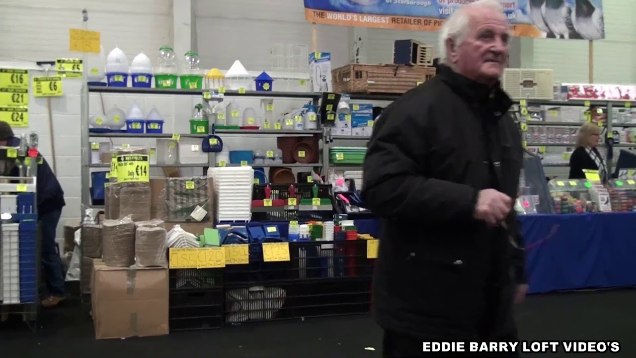 THE DUBLIN PIGEON SHOW 2017