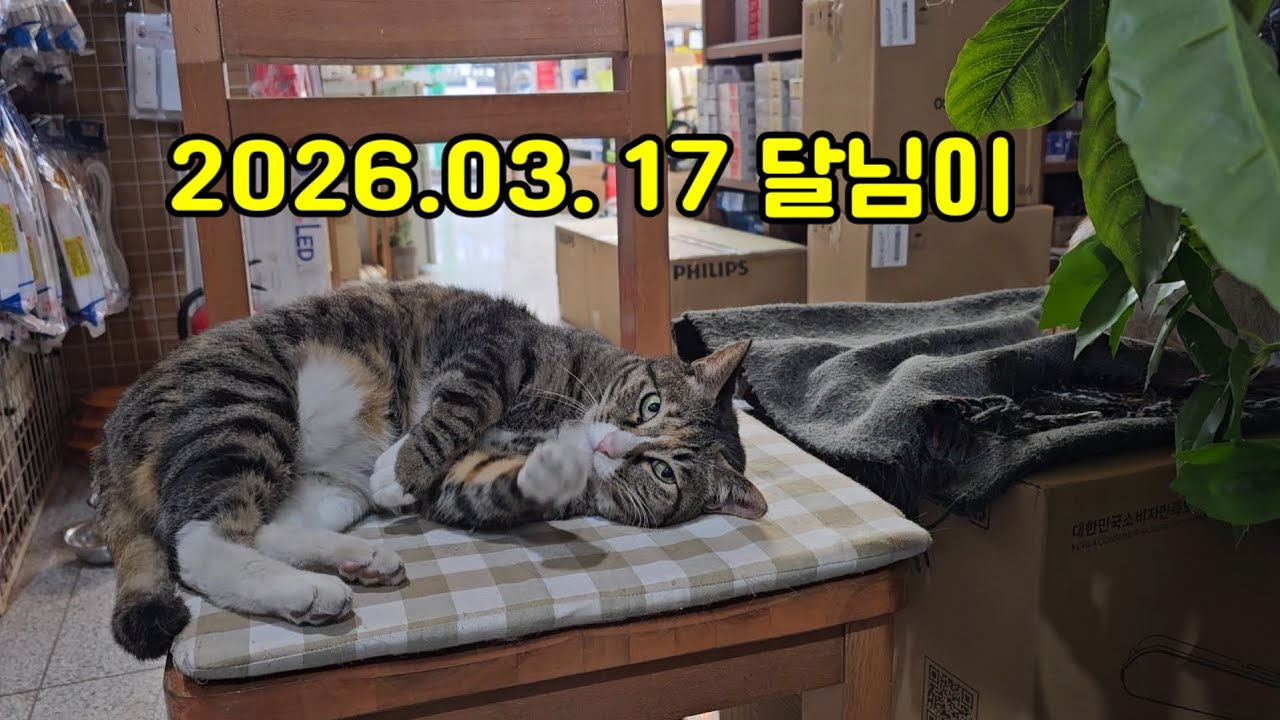 2026.03.17 달님이..