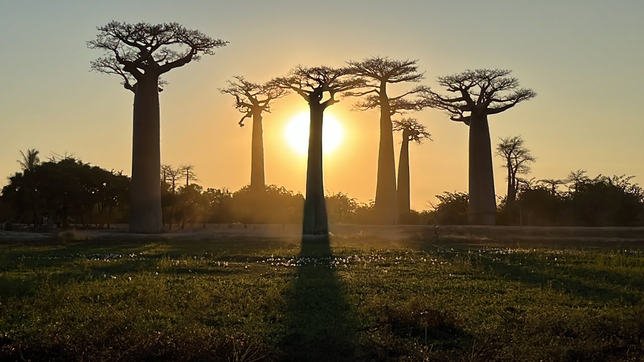 Madagascar 2024