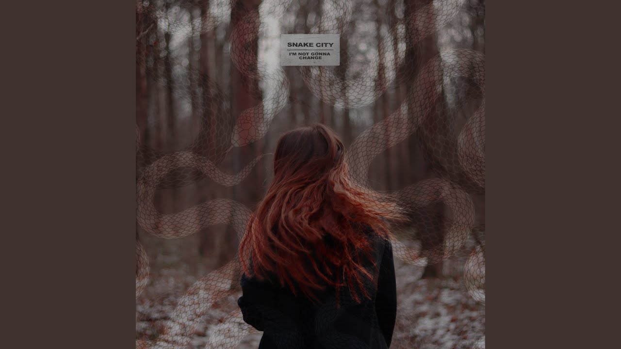 I'm Not Gonna Change