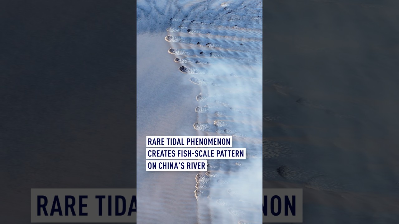 Rare tidal phenomenon creates fish-scale pattern on China's river