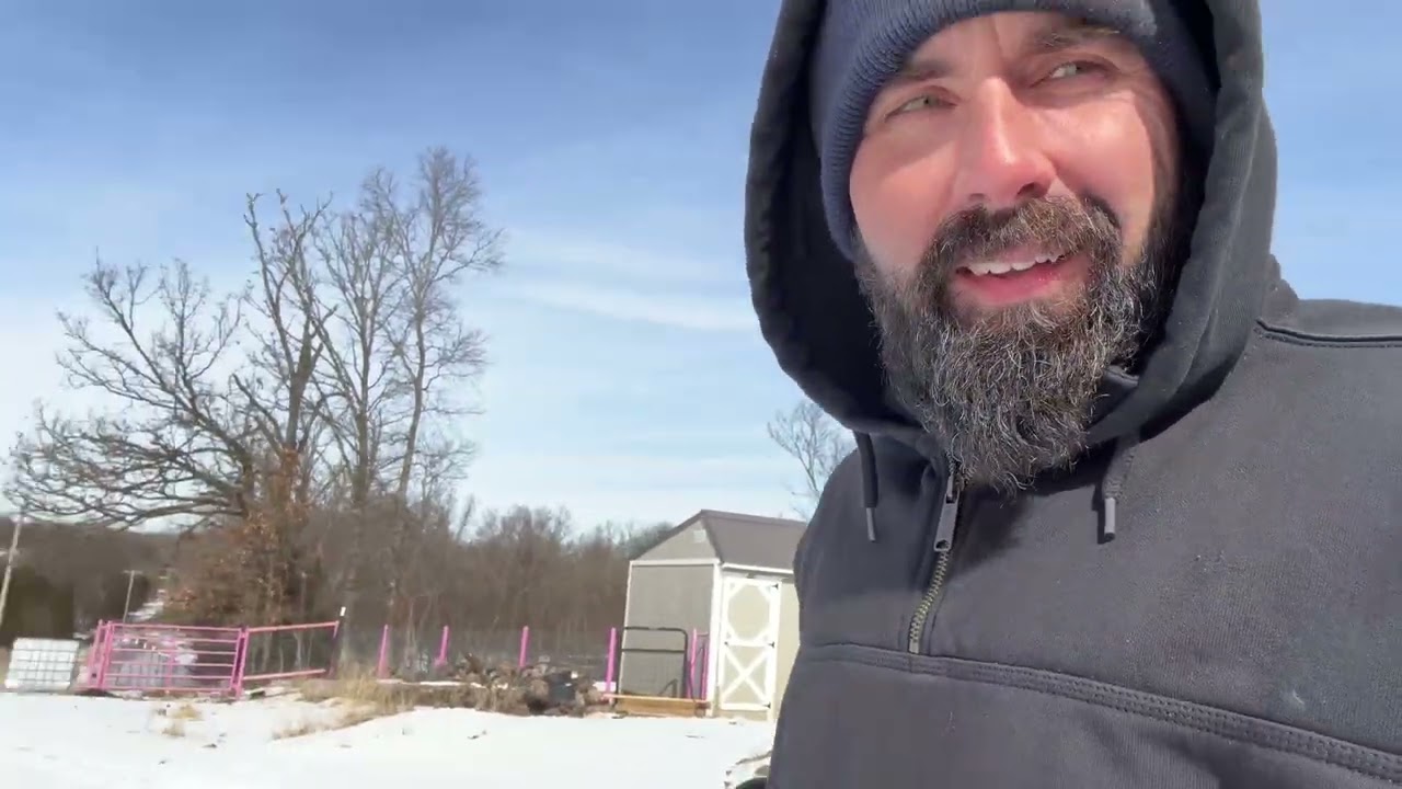 На ферму привезли новое животное!