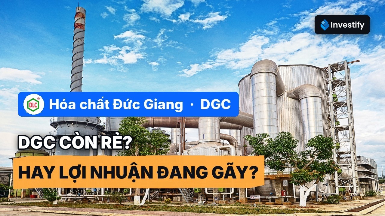 DGC: P/E 5,3x c&oacute; thật sự rẻ? Nghi Sơn v&agrave; rủi ro lợi nhuận 2026