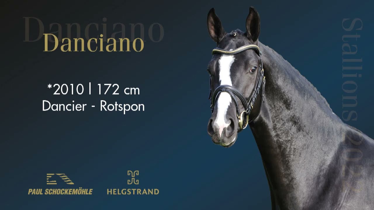 Danciano - Dressurkollektion 2022 Schockemöhle & Helgstrand (DEU)