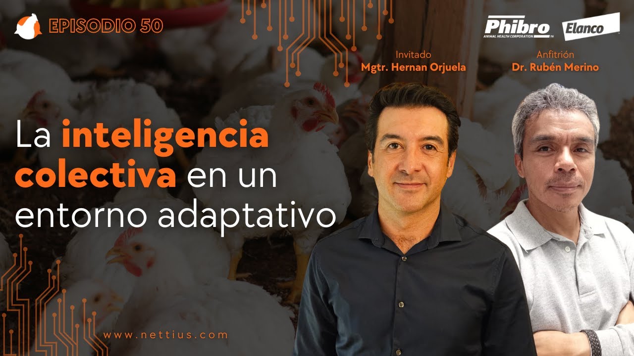 #50 - La inteligencia colectiva en un entorno adaptativo - Mgtr. Hernan Orjuela