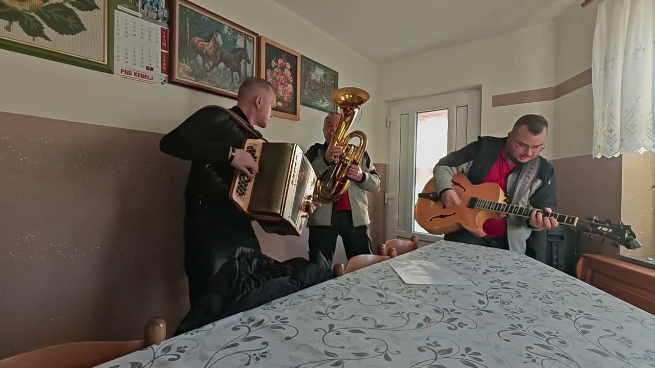 Ansambel Natura- Stara Polka (Avsenik) 