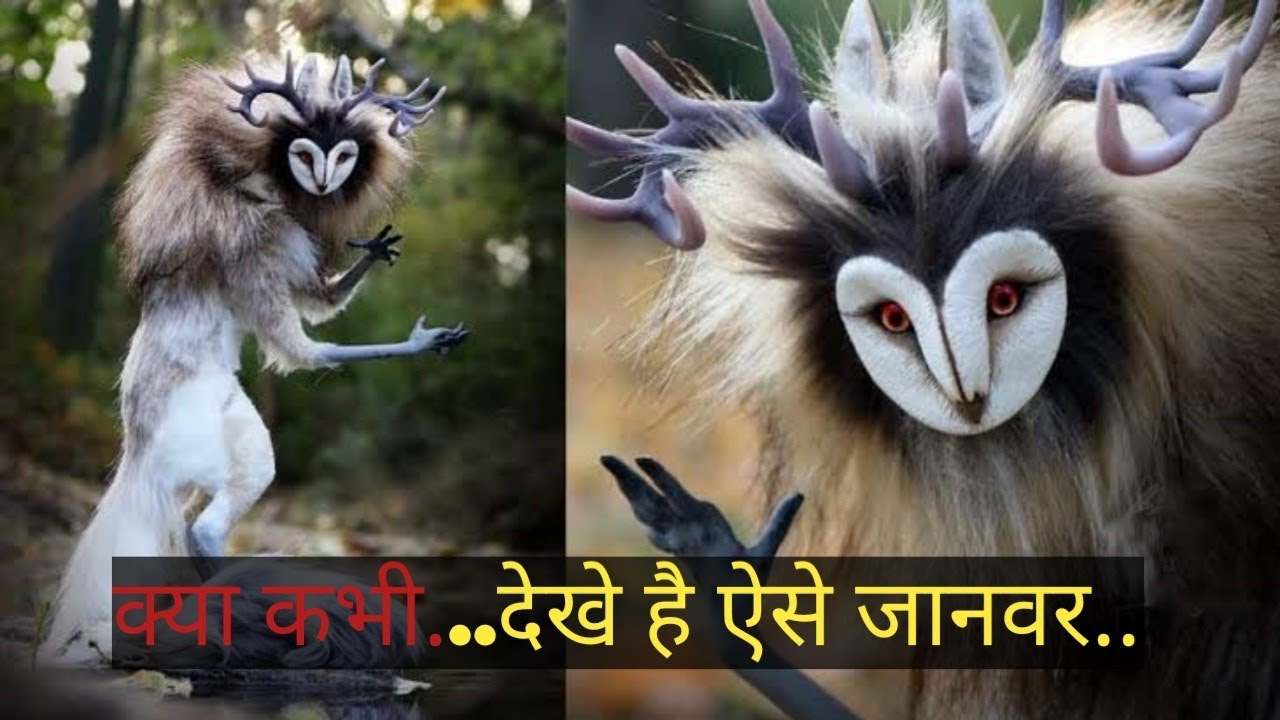 जानवर..जो पक्षी नही है.. पर उनकी तरह उड़ सकते हैं | Animals that can fly like birds |
