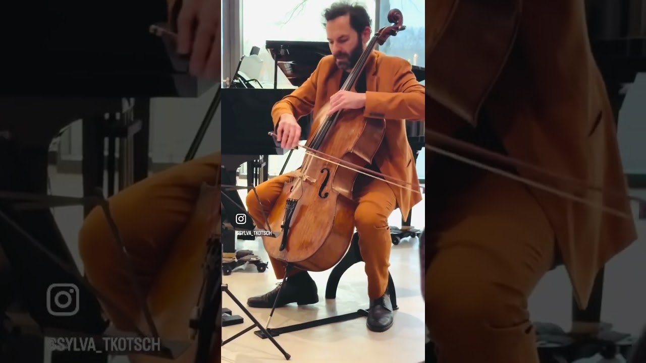 Great collage of CelloPiano Duo Sorour/Juretzka