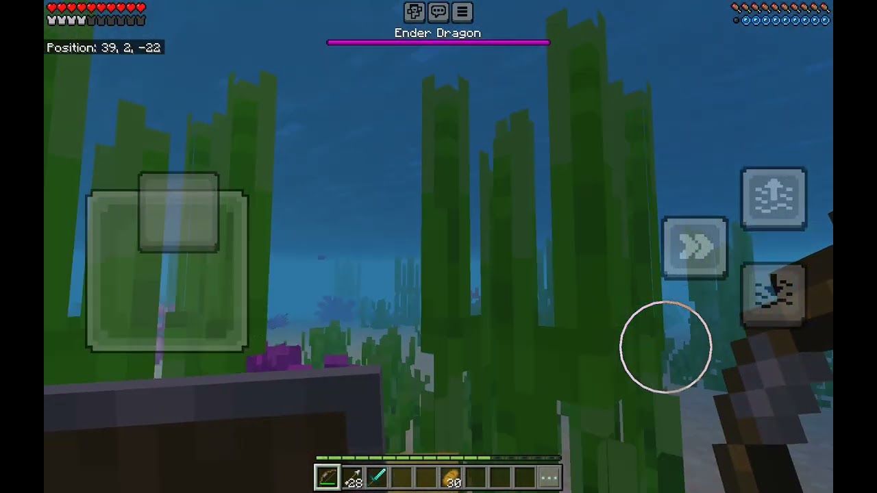 Dragons dimension-joshygaming pov