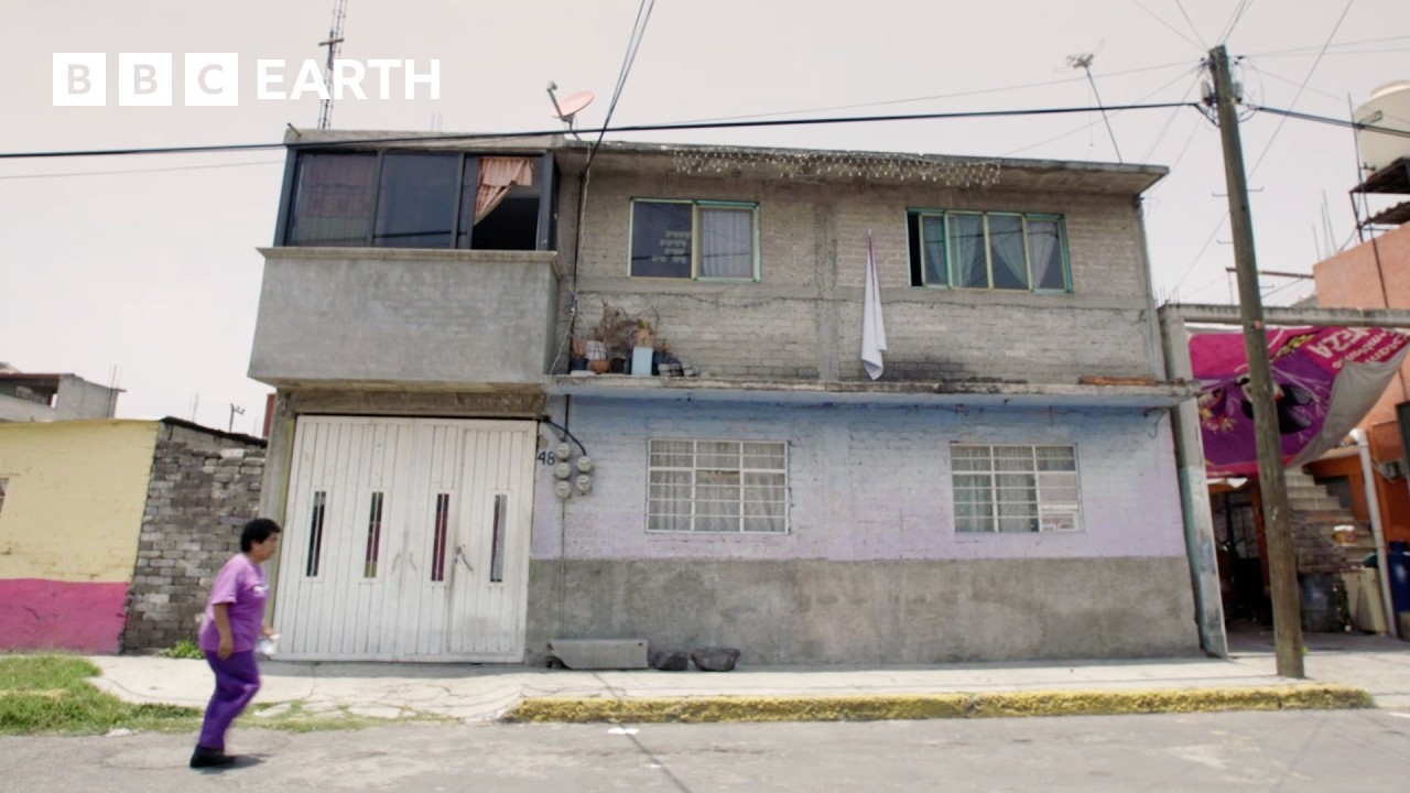 Mexico City's Self-Built Homes (2017) | World's Busiest Cities | BBC Earth Explore