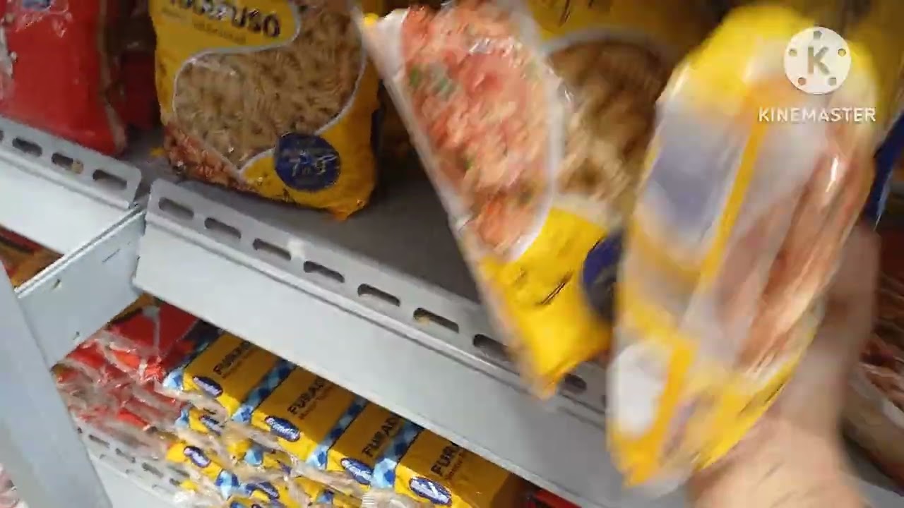 COMPRAS DO MÊS  + PASSEIO NO PARQUE  ( TUTORIAIS DA THAY OLIVER 