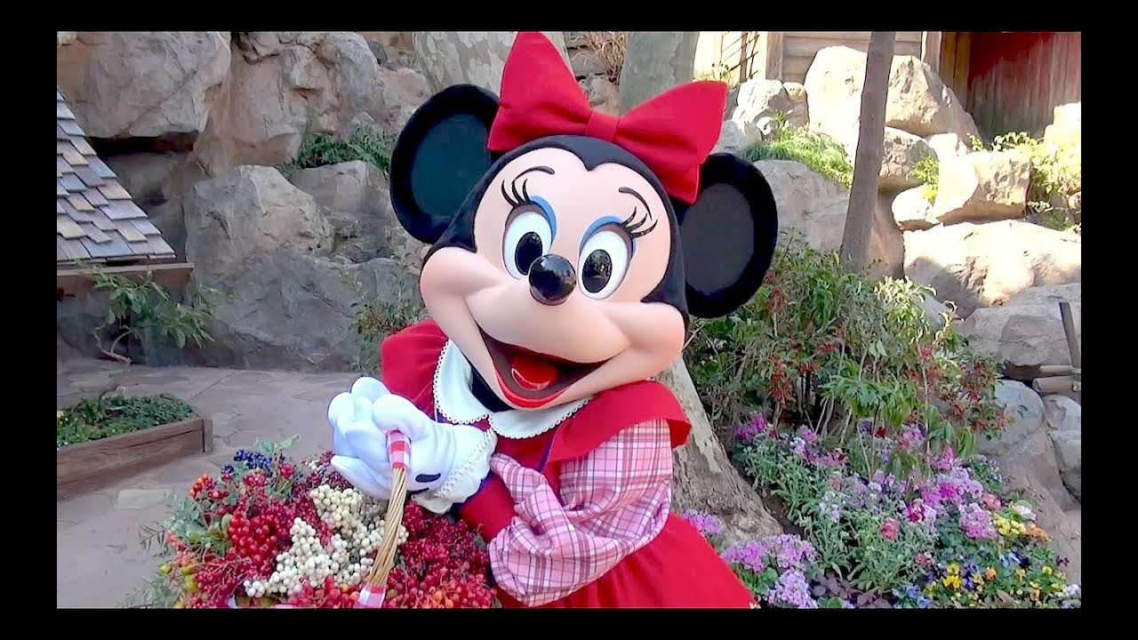 [Berry chan] Minnie's special greeting (Tokyo Disneyland)