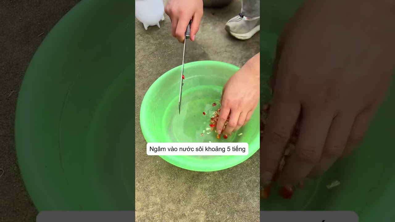 Natural Ways to Protect Vegetables from 