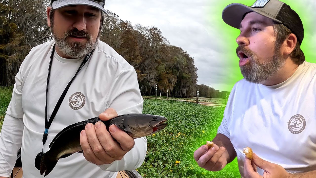 MUDFISH (Bowfin) | Catch, Clean, Cook