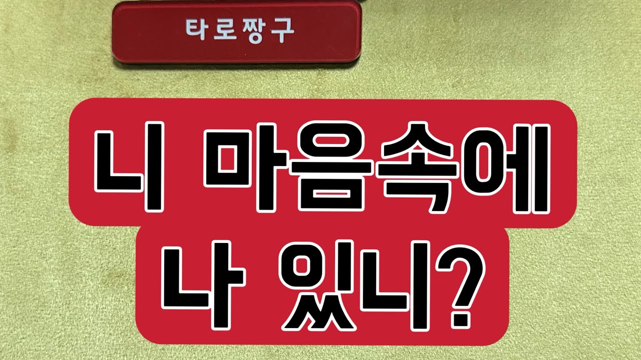 [타로짱구] 희망고문 없는 현실직시 타로