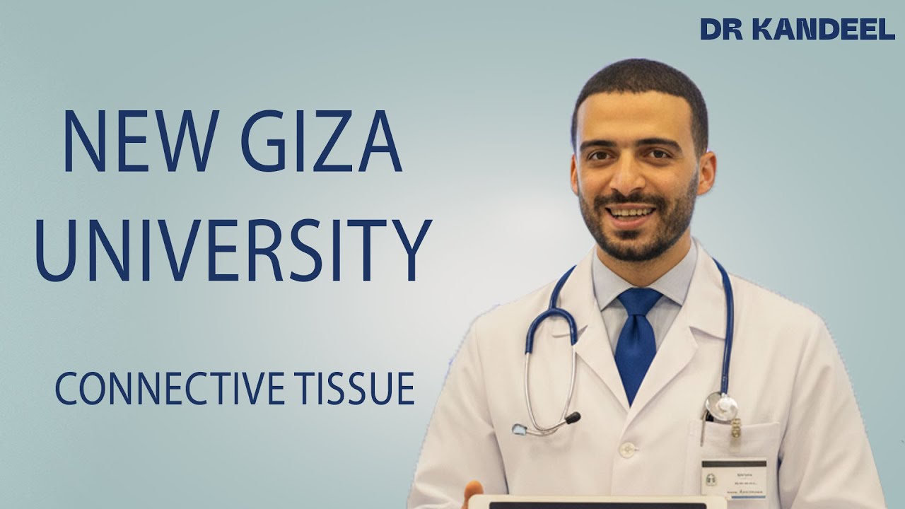 Connective tissue | New GizaUniversity | Dr Kandeel