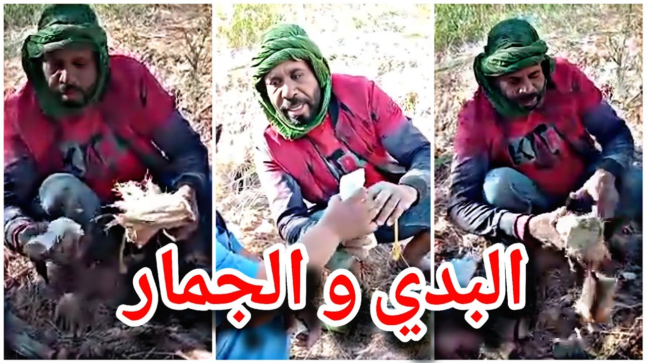 احمد البدي ياكل الجمار