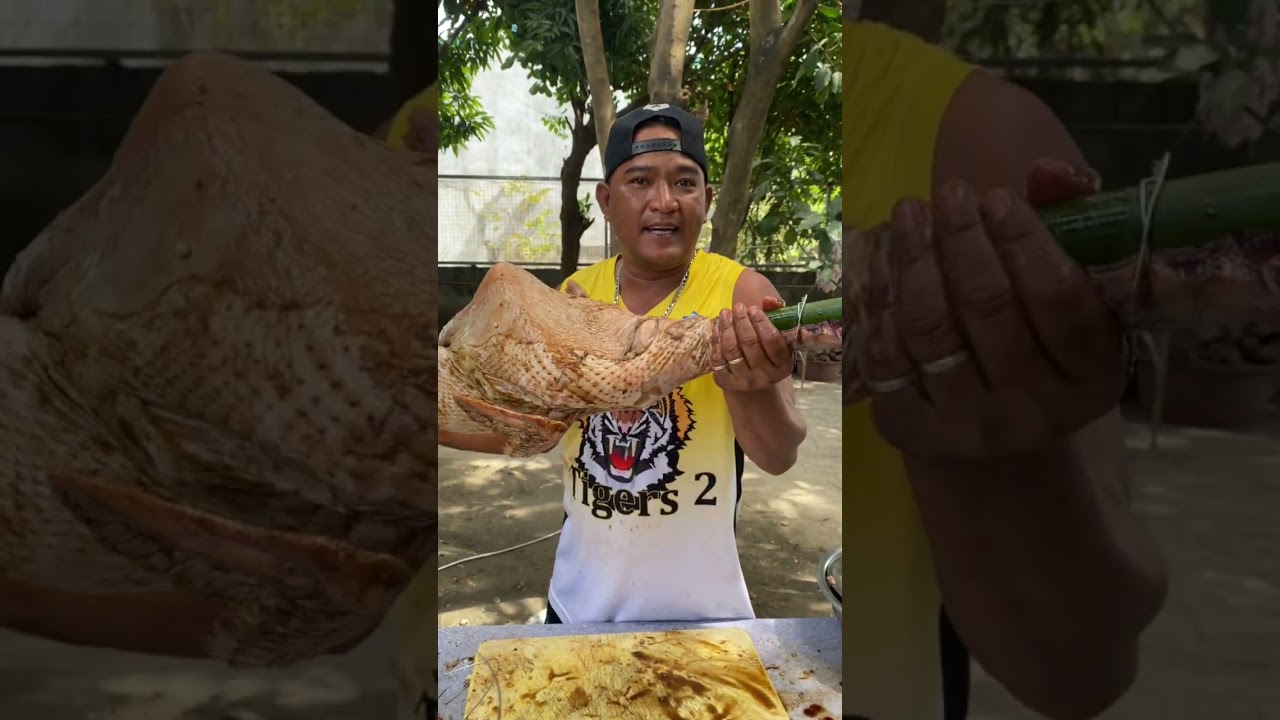 6kls LECHON PABO OR TURKEY 