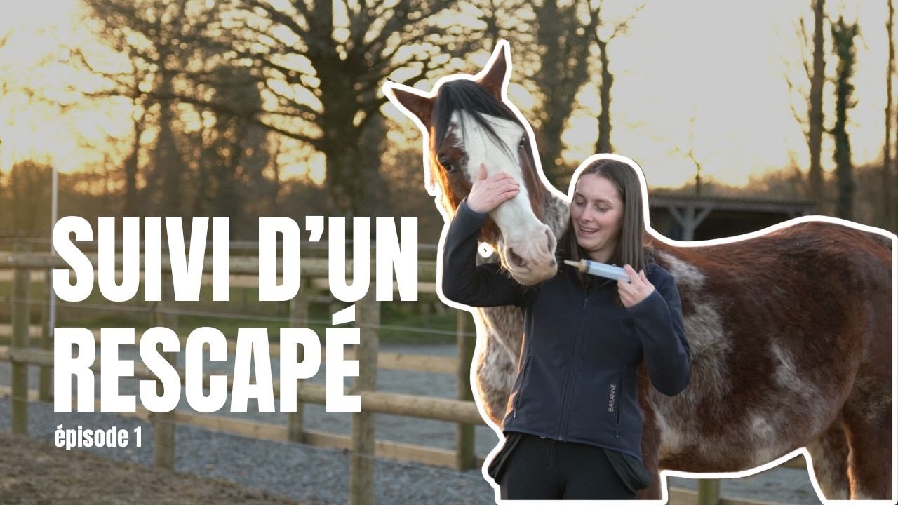 [ÉPISODE 1] Suivi d'un cheval rescapé