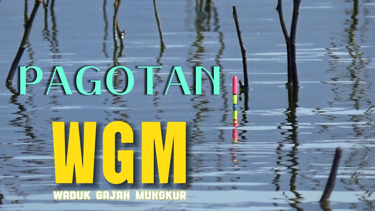 WGM Terbaru‼️ BISA NGOMSET DI SPOT BAHAGIA SEPERTI INI #mancing #nila #mancingmania #fishing 
