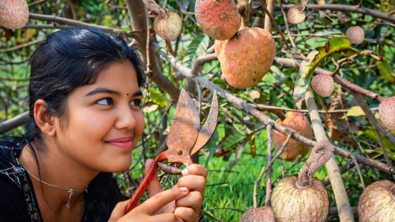 Creamy Bullock's Hearts and recipes🍑 #harvesting #viral #nature #organic #food #cooking #villagelife