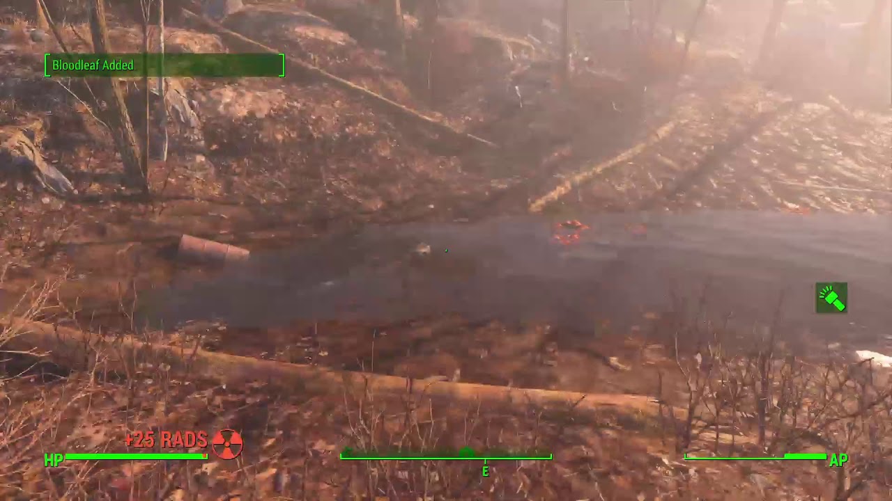 Fallout 4 naked