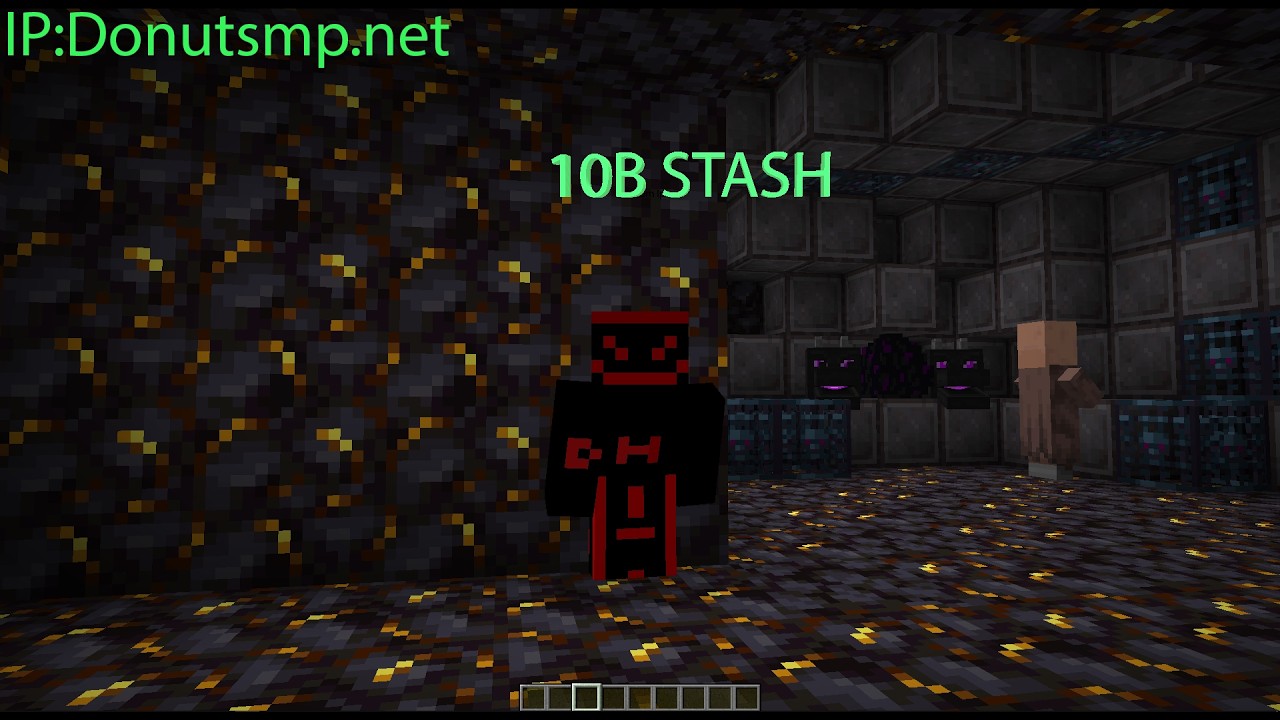 I Raided the richest stash on donutsmp
