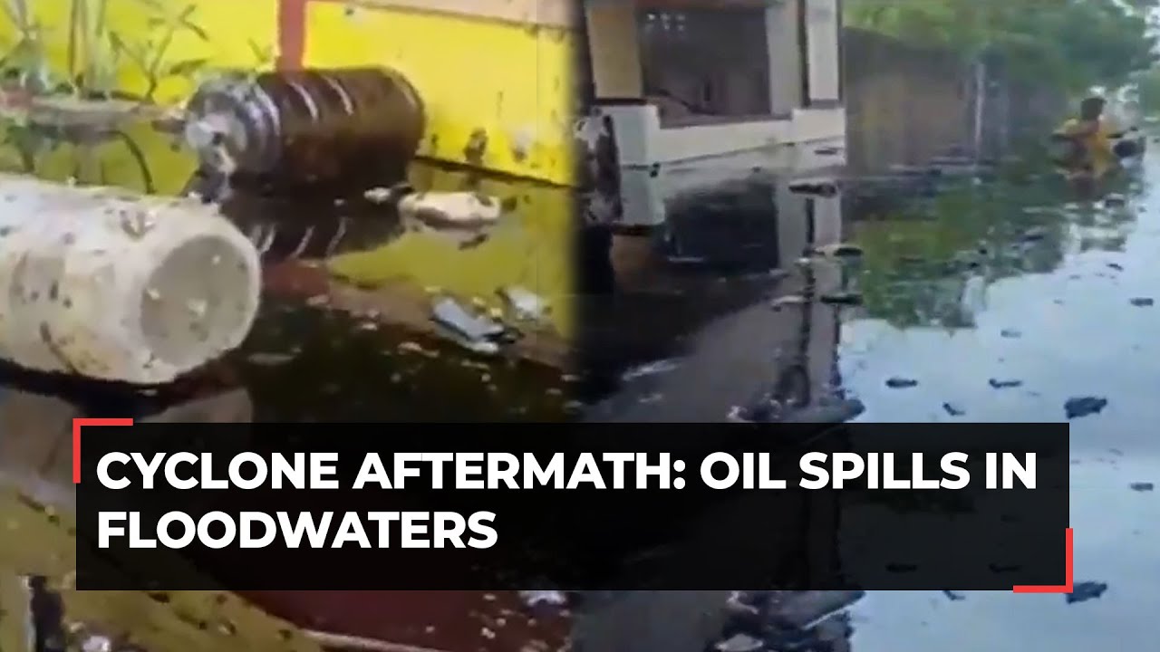 Cyclone Michaung aftermath: Oil spills in floodwaters of TN's Ennore; NGT to hear case on Dec 11