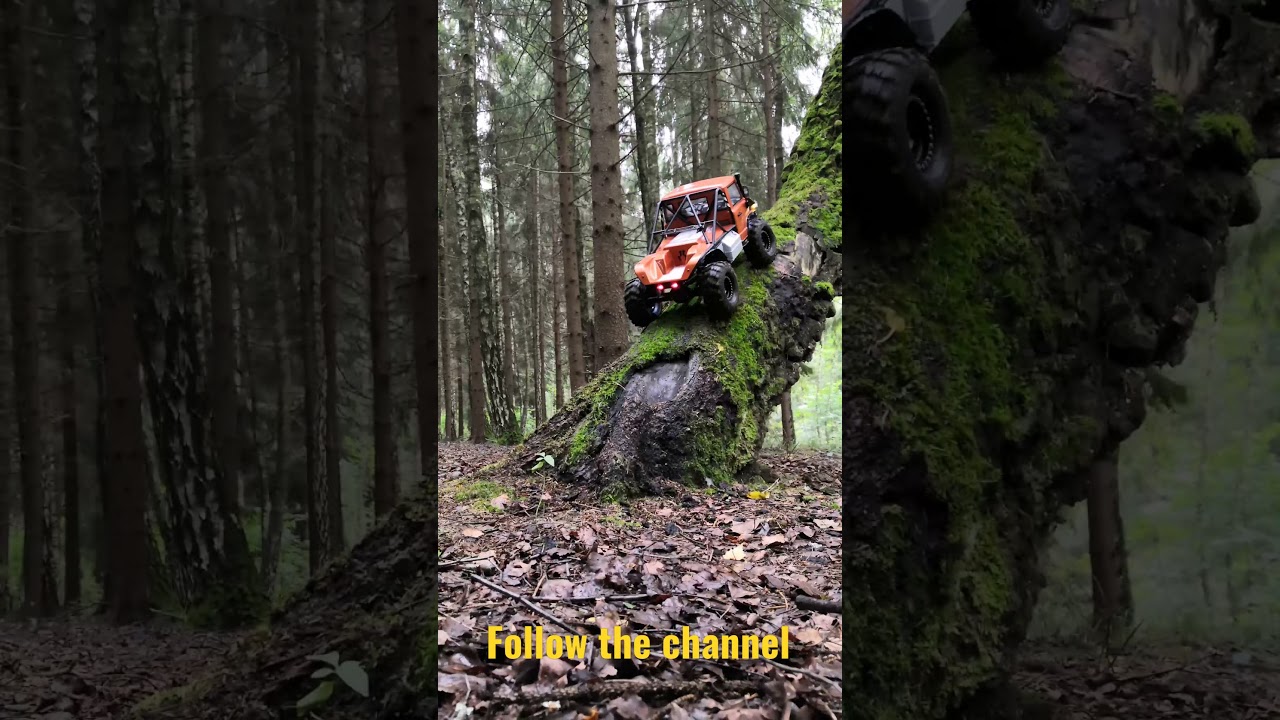 Mercedes Unimog On Tree 🌲 #shorts #axial #axialscx10ii #scx10ii #unimog #rccars