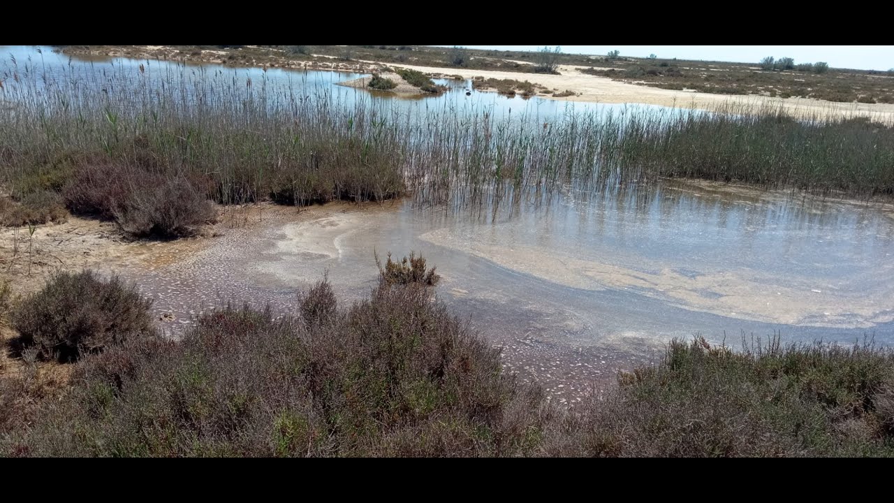 Paraje Natural Punta Entinas-Sabinar | Extremo Suroccidental de Almer&iacute;a-Andaluc&iacute;a-Espa&ntilde;a en 4K