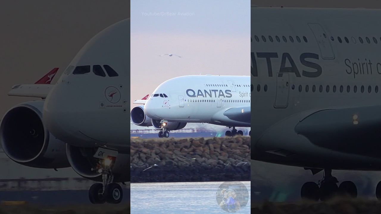 A380 Golden Hour Landing #shorts #aviation #a380 #landing