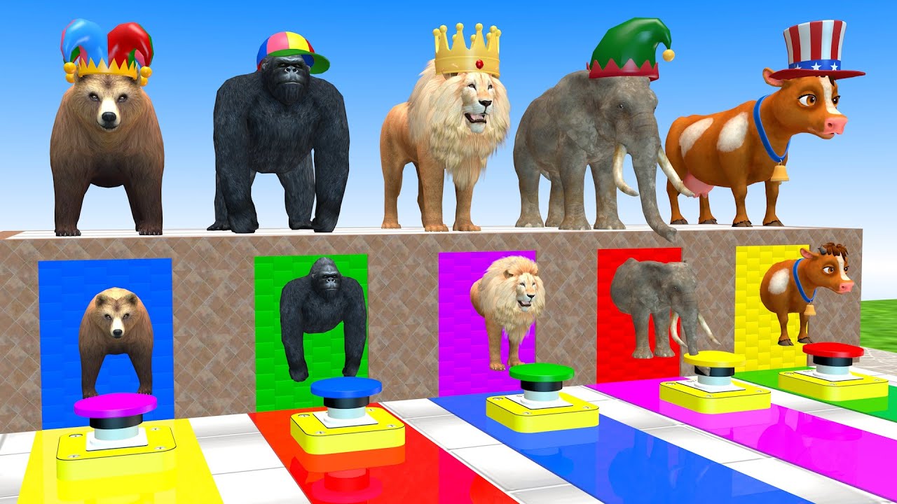 Long Slide Game With Elephant Bear Gorilla Lion Cow Choose a Hat 3d Animal Game Funny 3d Animals