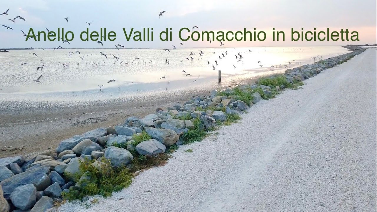 Giro intero delle valli di Comacchio in bicicletta.
