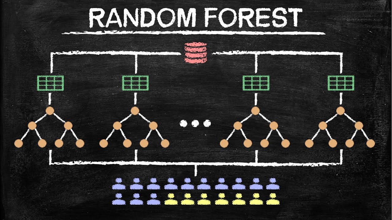 Random Forest for Beginners | Machine Learning in Plain English