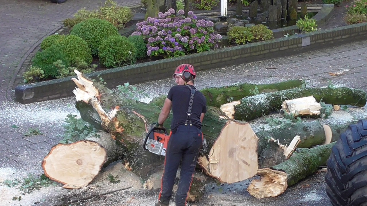 Oostflank Wijchen deel 123 / Bomen kappen op de Oosterweg (6)