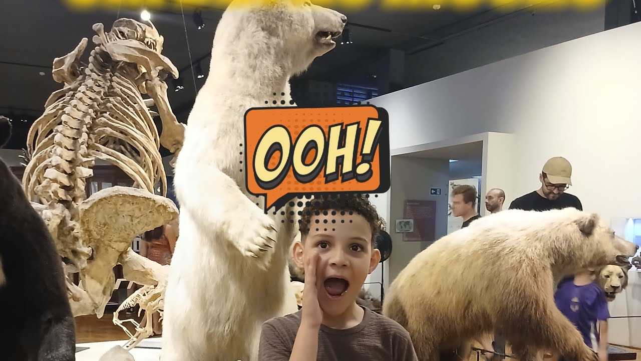UM DIA COMIGO NO MUSEU DE ZOOLOGIA/IPIRANGA EM SÃO PAULO 