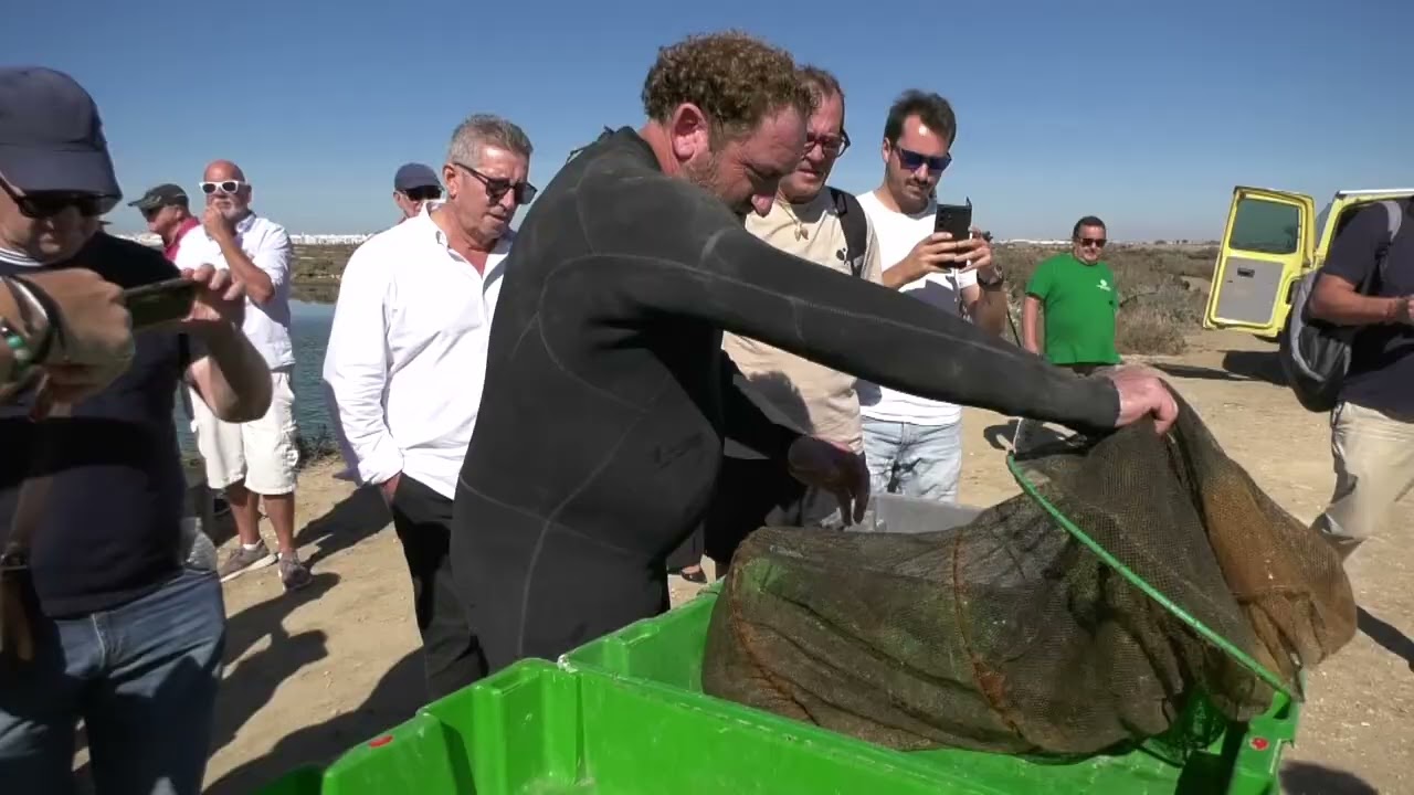 EL CRA SALINAS DE CHICLANA ACOGE EL DESPESQUE CON MOTIVO DE LA SEMANA DEL PESCADO DE ESTERO