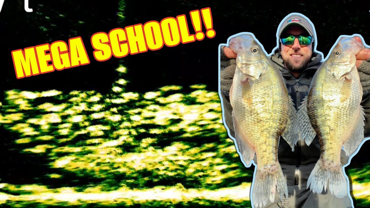 Chasing MASSIVE Schools of Winter Crappie with LIVESCOPE!! (Catch & Cook on the BLACKSTONE!)