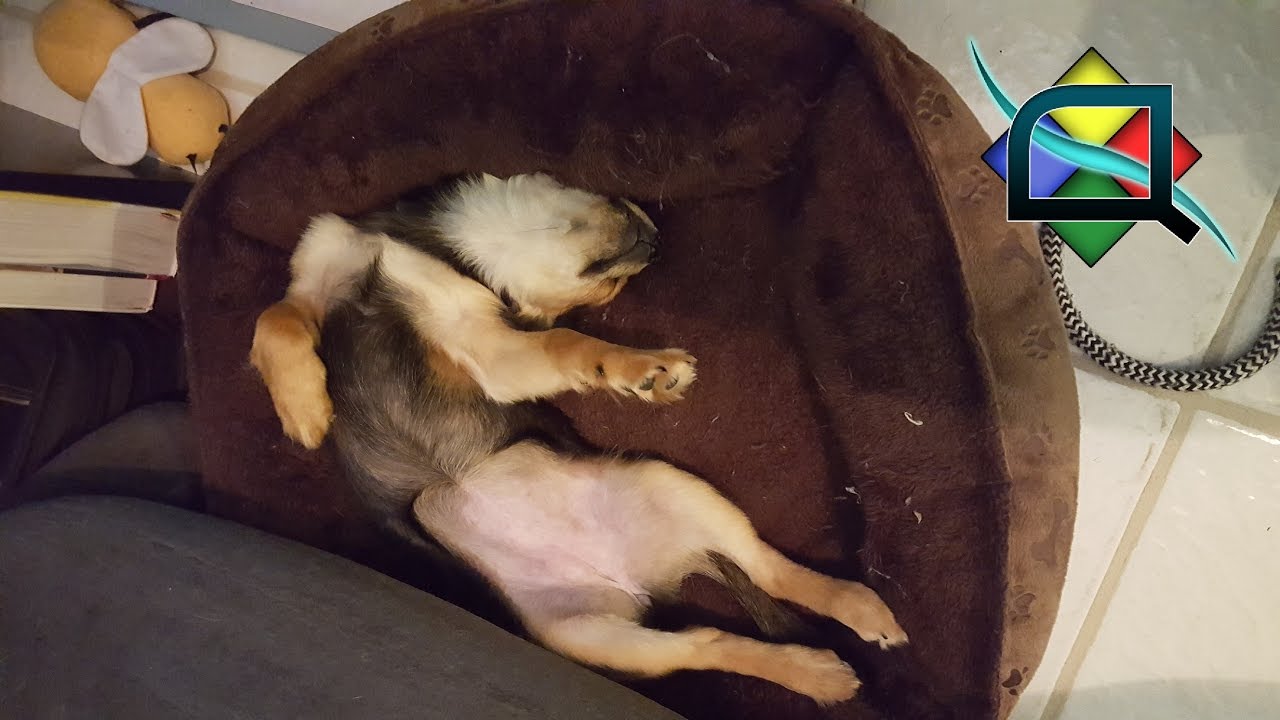 Ftog Quantus ep29 - Rftools Control Inventory Clearing