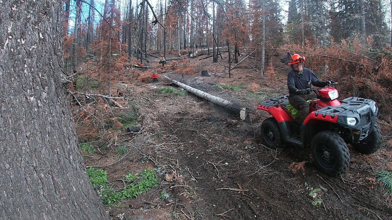 Skidding logs with the 4 wheeler