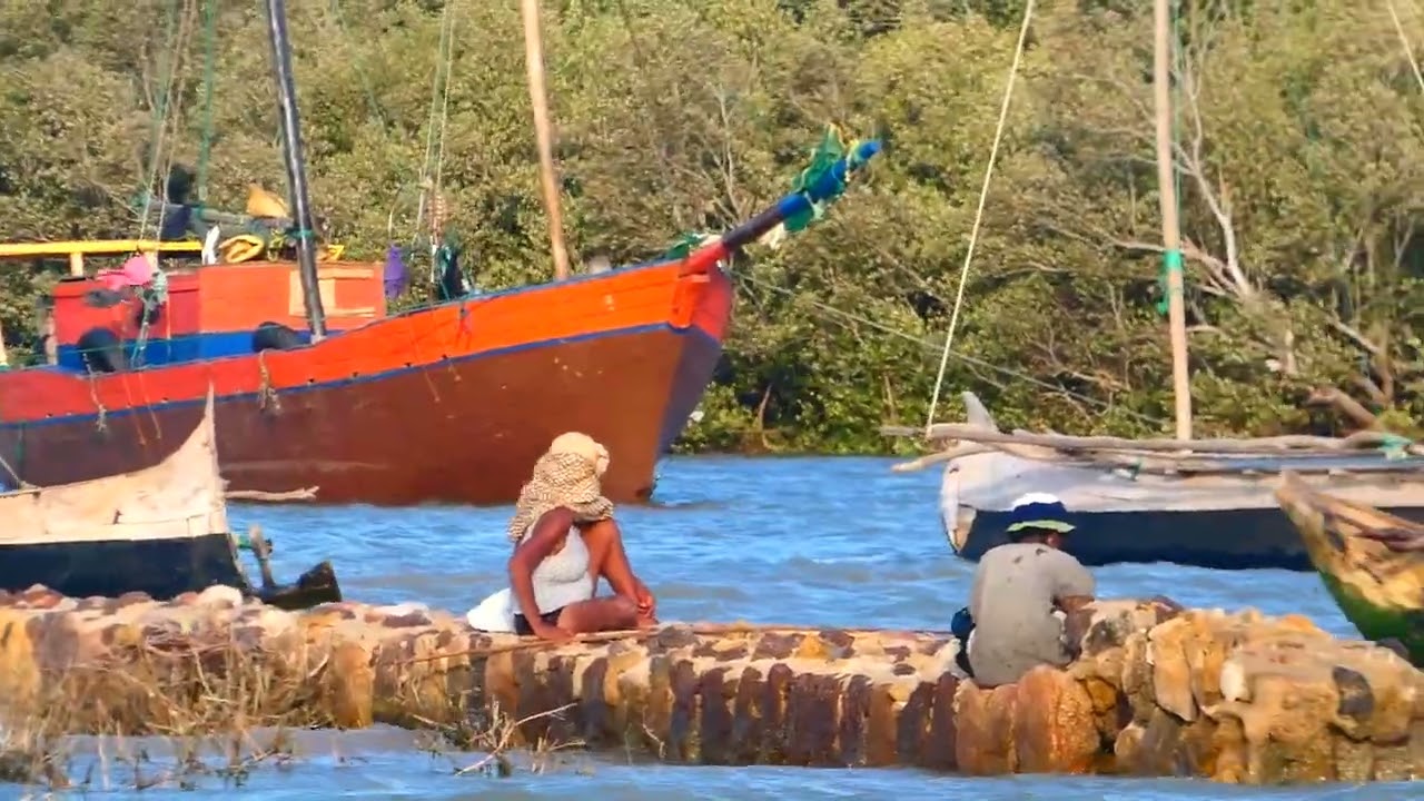 Tortuga en Madagascar-