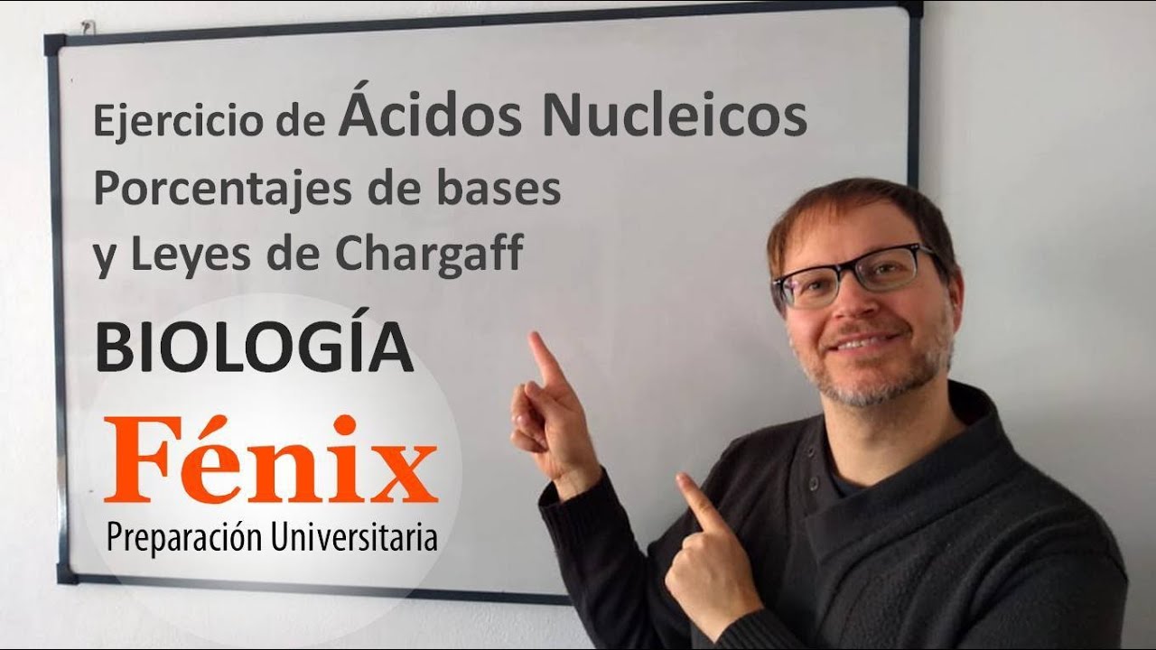 Ejercicio sobre ADN y las reglas de Chargaff