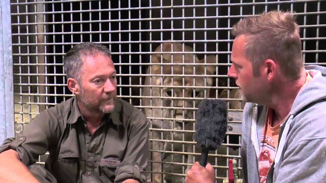 TV Horsens - Givskud Zoo 2014