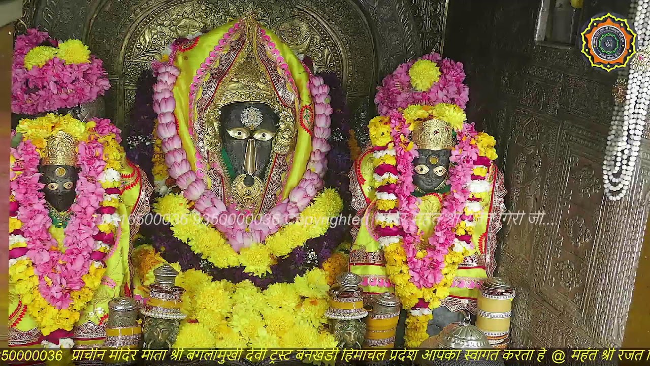 Maa Baglamukhi Official_Live Darshan_mahant shree Rajat giri ji_