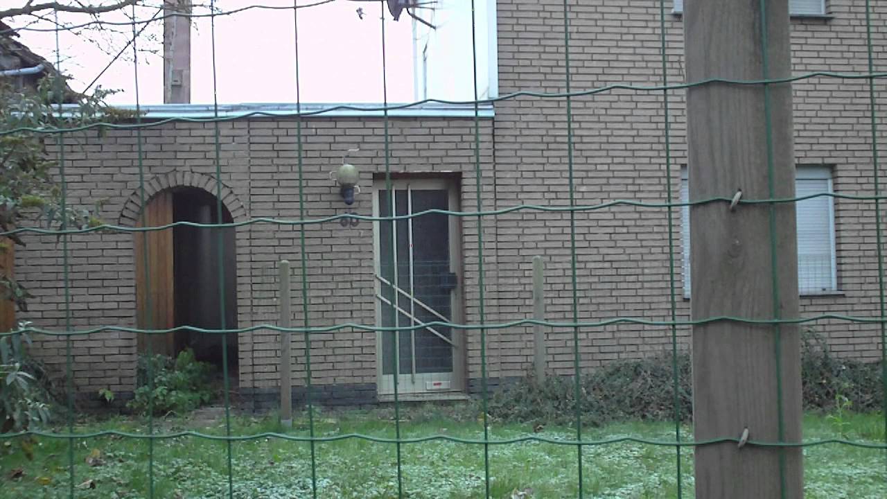 Pier, das sterbende Dorf