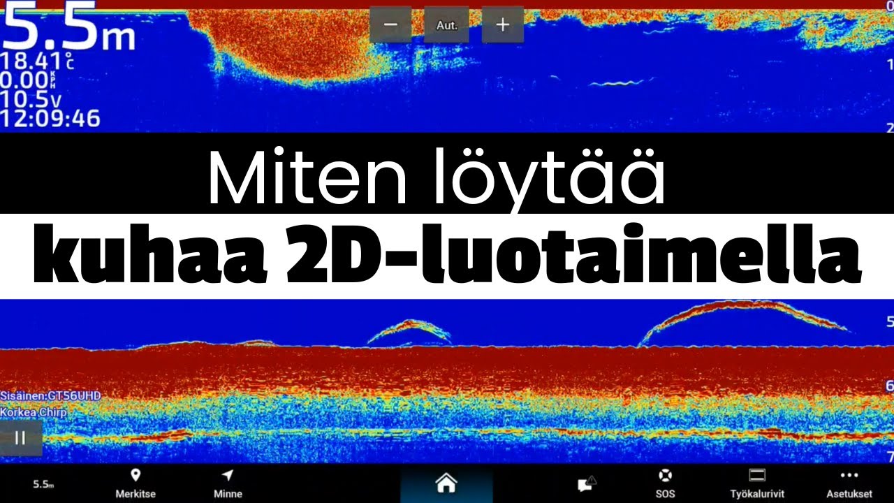 Miten löytää kuhaa 2D-luotaimen avulla