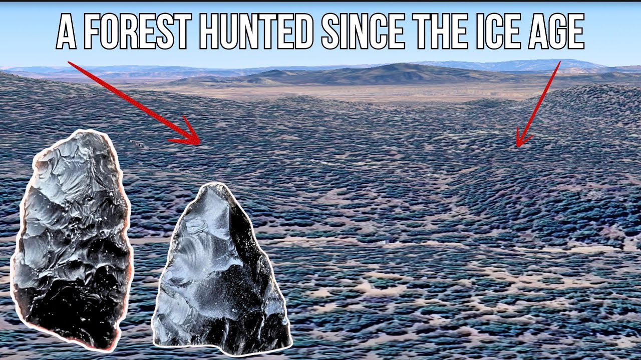 Humans Have Hunted This Forest Since The Ice Age