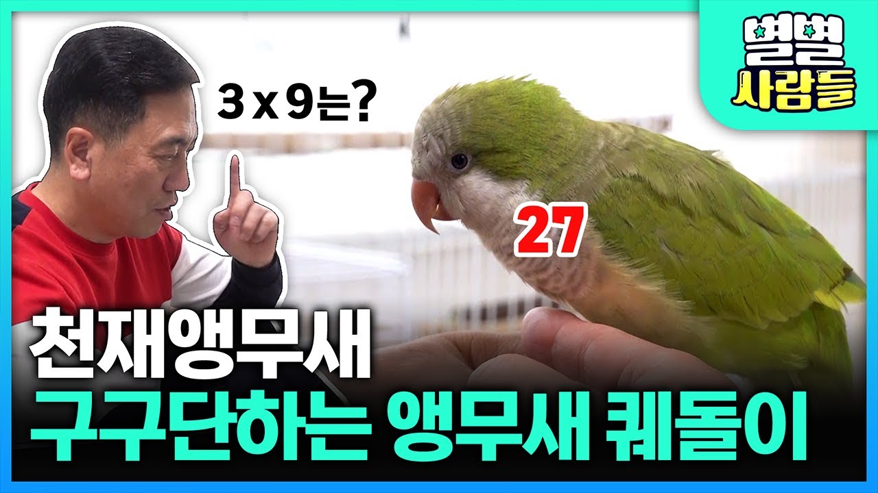 세계최초! 구구단하는 천재 앵무새가 있다 (ㅎㄷㄷ)  [ 별별사람들 ] 20210410