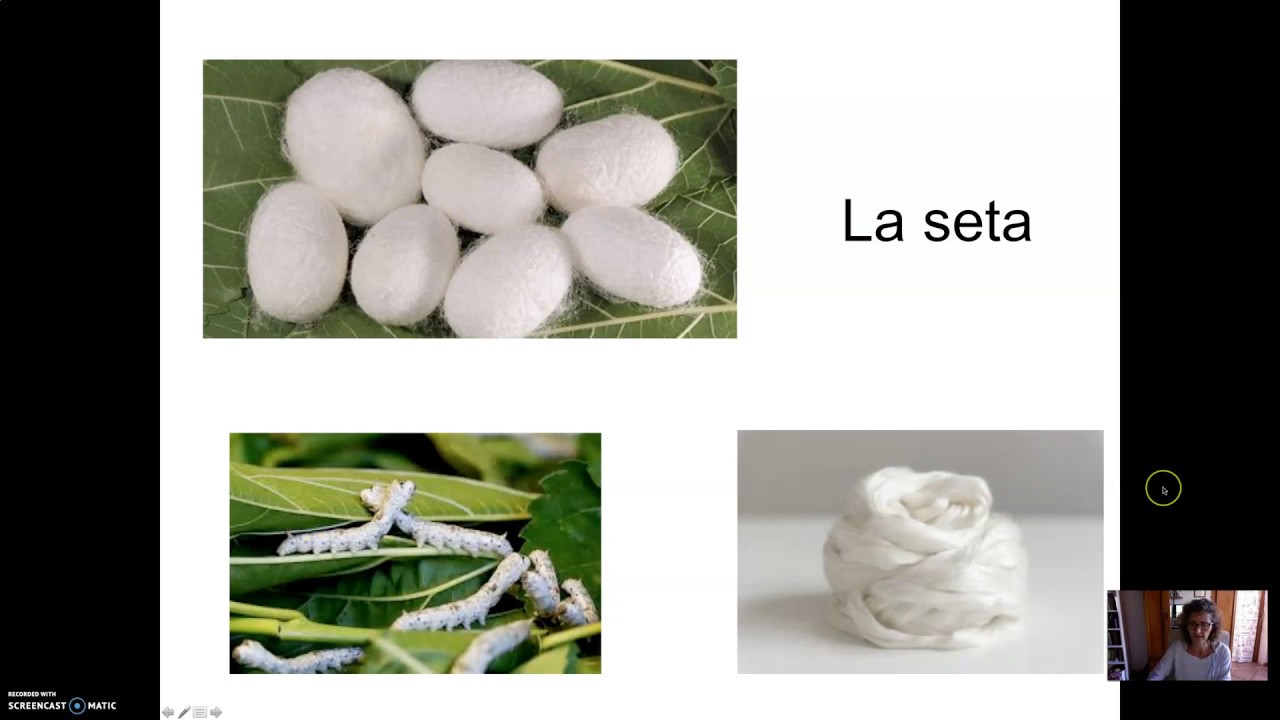 Le fibre tessili: la seta
